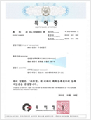 CERTIFICATE OF PATENT : Pole Transformer for Auxiliary Power Capable of Improving Impact Resistance Voltage Characteristic